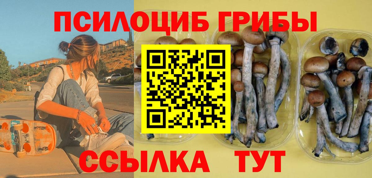 Псилоцибиновые грибы Psilocybine cubensis  Вход с VPN  Трёхгорный  Псилоцибиновые грибы прущие грибы 